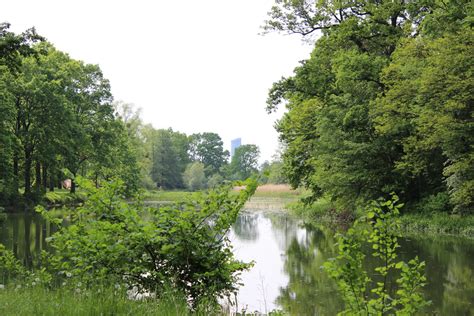  Park Wschodni w Suihua - Oaza Spokoju i Piękna W Sercu Miasta!