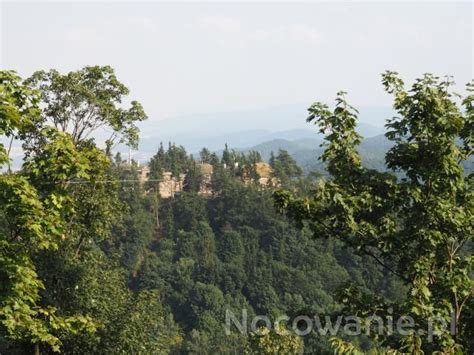 Miao Mountain: Zalesione Wzgórze z Wyjątkową Historią i Widokami