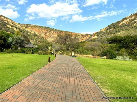  Walter Sisulu National Botanical Garden - ZIELONA OAZA W SERCU MIASTA!